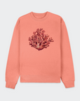 Coral Sweater